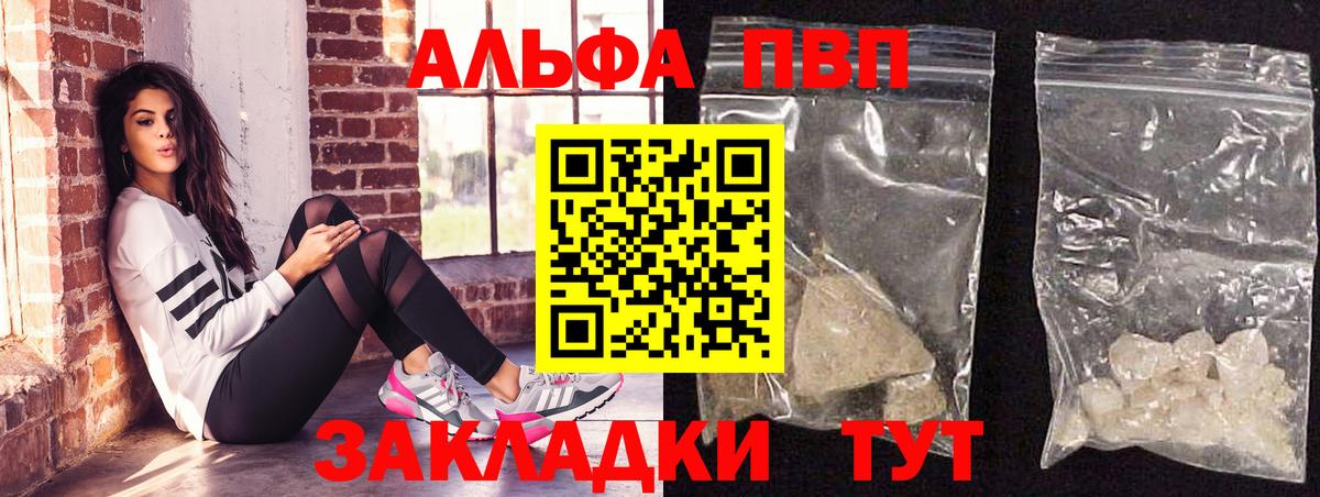 A PVP СК КРИС Гурьевск