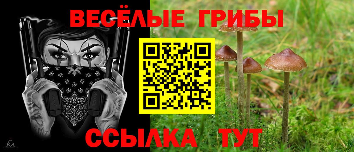 Гурьевск  Псилоцибиновые грибы Psilocybe  Вход с VPN 